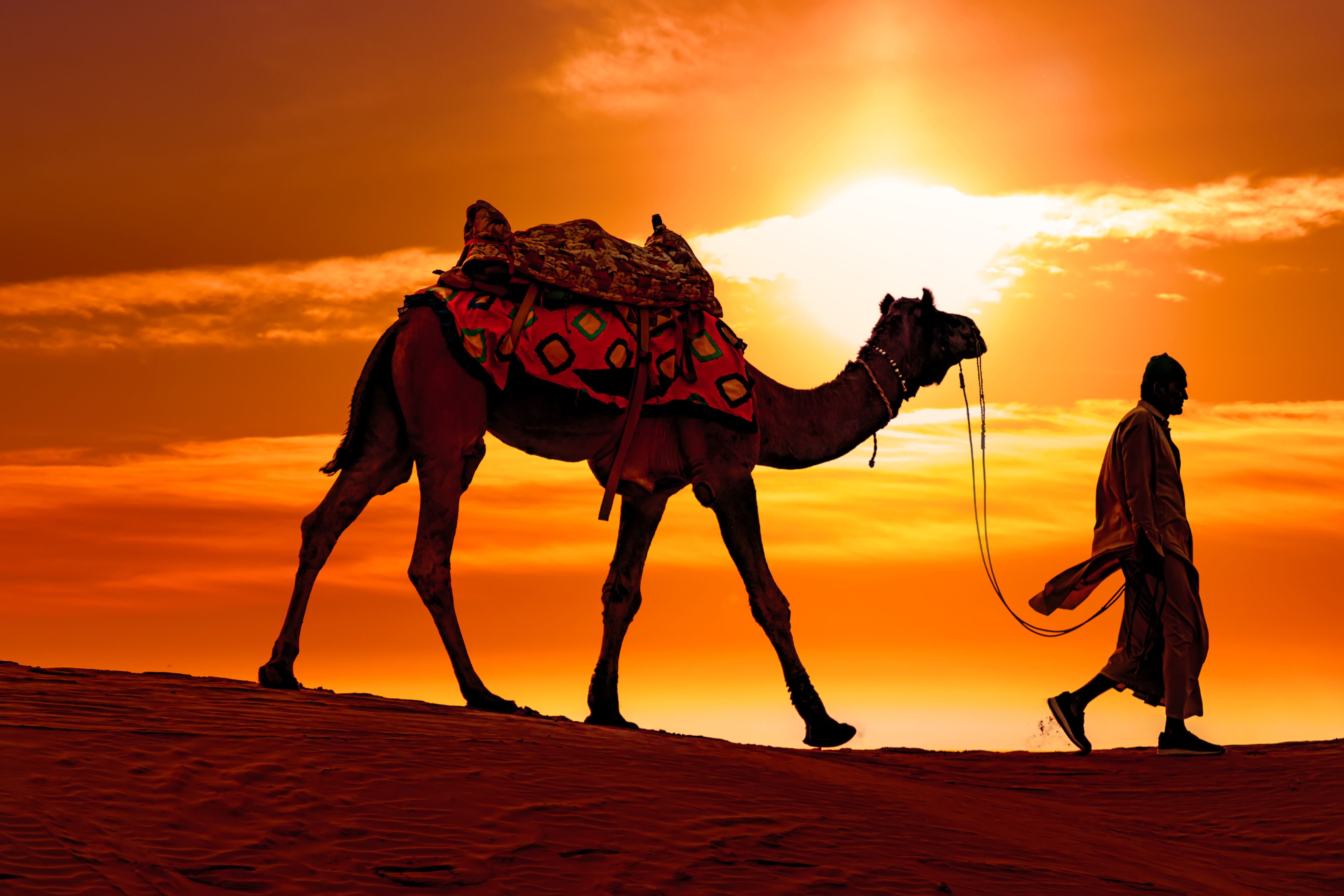 Cameleers, camel Drivers at sunset. Thar desert on sunset Jaisalmer, Rajasthan, India.